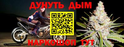 кокс Гудермес
