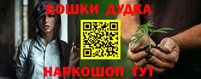 кокс Гудермес