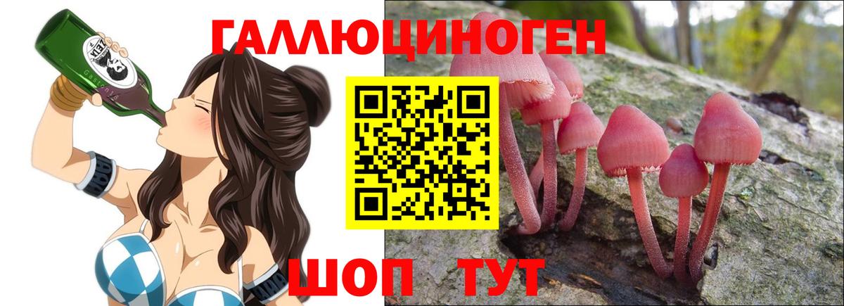 Бор  Псилоцибиновые грибы ЛСД  Вход с VPN 