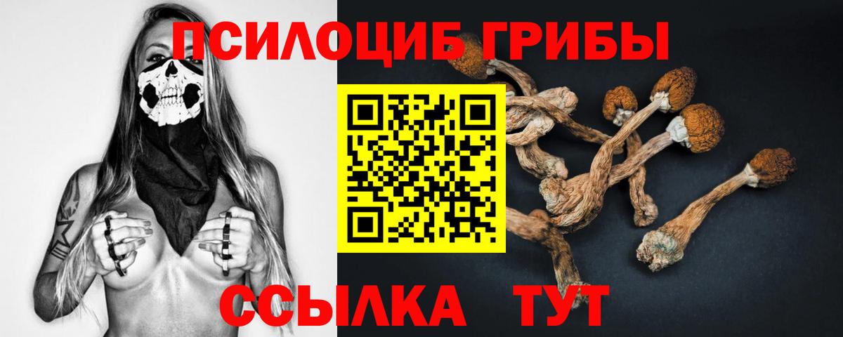 Галлюциногенные грибы MAGIC MUSHROOMS Бор